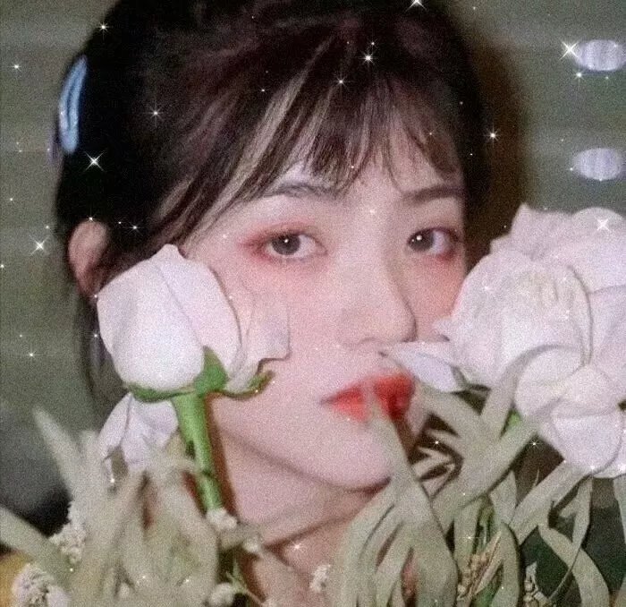 野性的邂逅粤语
